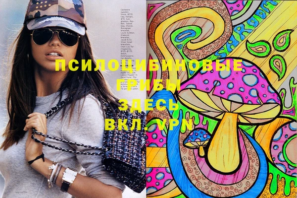 PSILOCYBIN Абдулино