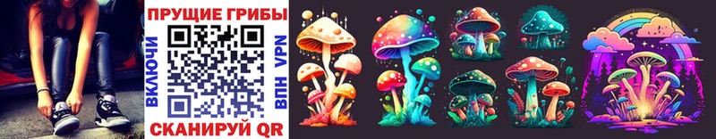 Галлюциногенные грибы Psilocybe  Яранск 